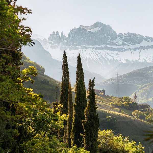 The region South Tyrol, where mountainous wonders 🏔️ roar over serene Mediterranean beauty 🌴 and...