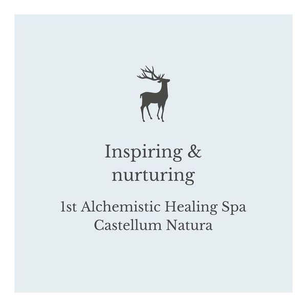 Sense the unbridled energy of nature 🌱 in our Alchemistic Healing Spa, the first of its kind in...