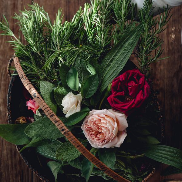 Plantain cough syrup 🌱 You need a handful of plantain, raw local honey and a large jar. Cleanse...