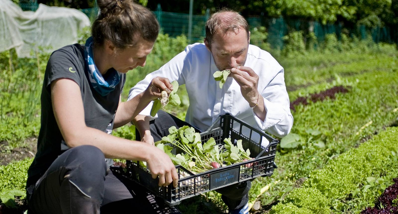 L’apice dell’arte culinaria - Mezza pensione all’Hotel Fragsburg