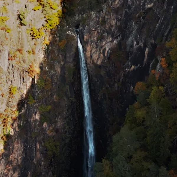 Our Alchemical Product Line blends ancient wisdom with modern wellbeing, precious essences...