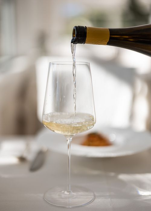 Wine experiences & tastings in South Tyrol, Italian Alps 