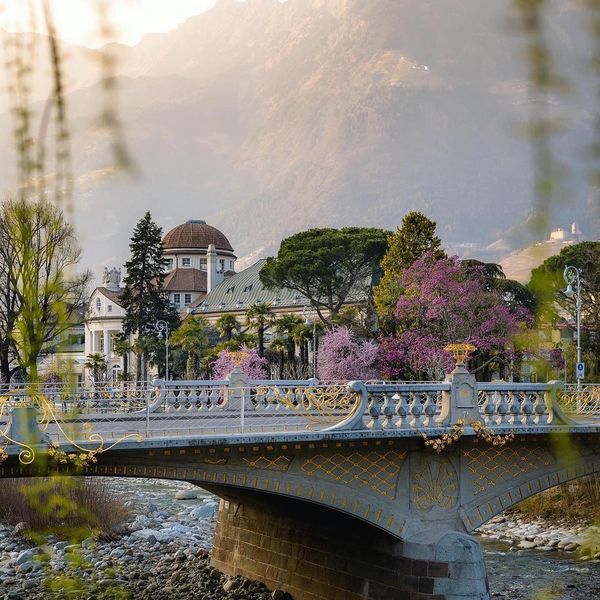 Spring 🌺🌸 dresses the city of Merano in its most exquisite attire. Nature awakens from its...