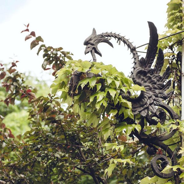Enjoy our 50,000 sqm fairytale garden 🌹with all the lovingly arranged details. #castelfragsburg...