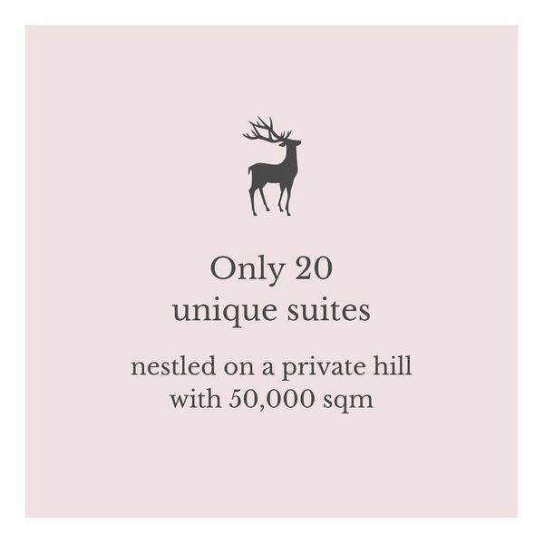 Only 20 unique suites that transform aesthetics into a love for life. #castelfragsburg...